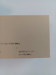 NTV 100kg A2TCY 30 0.17mm V Fp II 594mm×420mm JV~