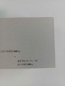NTV 100kg B3TCY 32 0.17mm V Fp II 515mm×364mm O[30