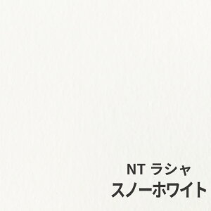 NTV 100kg A2TCY 30 0.17mm V Fp II 594mm×420mm Xm[zCg