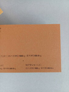 NTV 100kg B2TCY 30 0.17mm V Fp II 728mm×515mm ΂