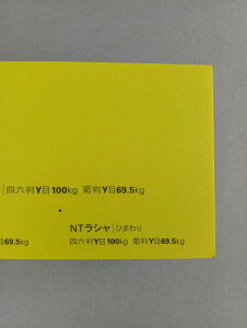 NTV 100kg A2TCY 30 0.17mm V Fp II 594mm×420mm Ђ܂