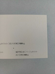 NTV 100kg A2TCY 30 0.17mm V Fp II 594mm×420mm x[WzCg