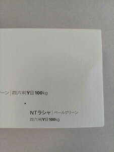 NTV 100kg B2TCY 30 0.17mm V Fp II 728mm×515mm y[O[