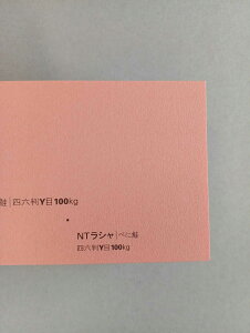 NTV 100kg B2TCY 30 0.17mm V Fp II 728mm×515mm ׂɍ
