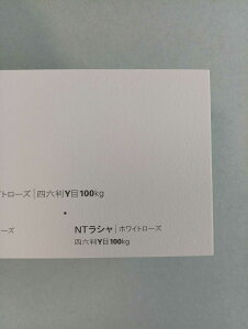 NTV 100kg A2TCY 30 0.17mm V Fp II 594mm×420mm zCg[Y
