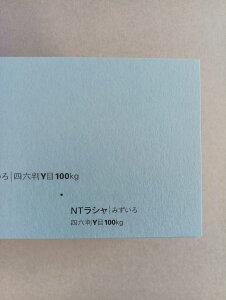 NTV 100kg B2TCY 30 0.17mm V Fp II 728mm×515mm ݂