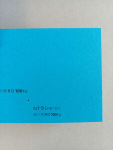 NTV 100kg B2TCY 30 0.17mm V Fp II 728mm×515mm 