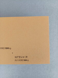 NTV 100kg B2TCY 30 0.17mm V Fp II 728mm×515mm I