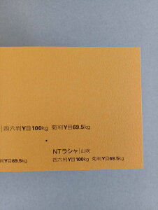 NTV 100kg A2TCY 30 0.17mm V Fp II 594mm×420mm R