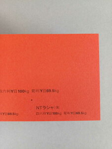 NTV 100kg  A1TCY 30 0.17mm V Fp II 841mm×594mm
