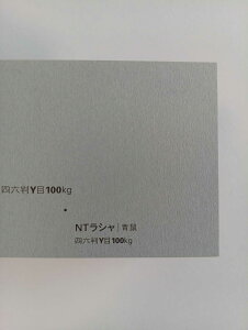 NTV 100kg B2TCY 30 0.17mm V Fp II 728mm×515mm l