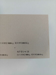 NTV 100kg B3TCY 32 0.17mm V Fp II 515mm×364mm l