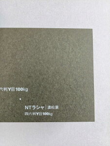 NTV 100kg Zt A1TCY 30 0.17mm V Fp II 841mm×594mm
