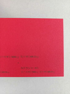 NTV 100kg B2TCY 30 0.17mm V Fp II 728mm×515mm Z