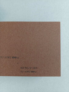 NTV 100kg Z A1TCY 30 0.17mm V Fp II 841mm×594mm