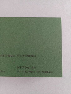 NTV 100kg A2TCY 30 0.17mm V Fp II 594mm×420mm Z