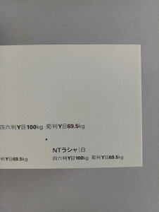 NTV 100kg A2TCY 30 0.17mm V Fp II 594mm×420mm 