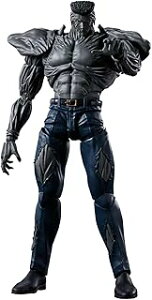 �o���_�C S.H.Figuarts �ˋ�C��100% 67298