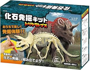 A[ebN Δ@Lbg gPgvX 00055481