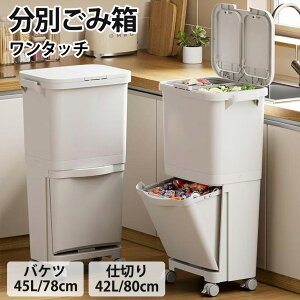 WtS~ S~ ӂt ^b`  S~ X 傫 rO Lb` _Xg{bNX LX^[t W J ЊJ  ӂ  ӂtS~ 42L 45L