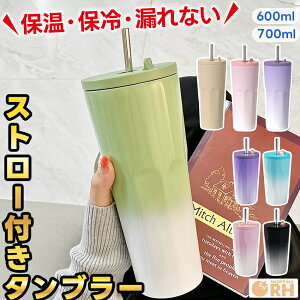 タンブラー 水筒 マグ ボトル おしゃれ 蓋付き こぼれない ストロー付きタンブラー タンブラー蓋付き ストロー付き ストロー 持ち運び かわいい 保温 保冷 マグ 大容量 600ml 700ml 韓国 韓国風