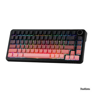�y���������zAJAZZ AK820 MAX HE �z�[�����ʃQ�[�~���O�L�[�{�[�h �A�N�`���G�[�V���������\ 8KHz�|�[�����O���[�g �L�����s�b�h���C�L�[�{�[�h �N���[�~�[�ȃK�X�P�b�g RGB�o�b�N���C�g Win/Mac