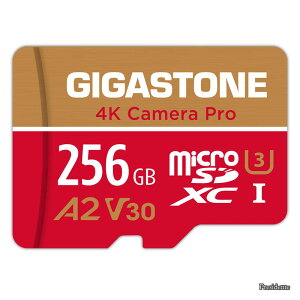 �y���������z�}�C�N��sd�J�[�h 256GB 4K Camera Pro microSDXC UHS-I A2 V30 U3 C10 100MB/s Ultra HD 4K �r�f�I�^�� Gopro �C���X�^360 �A�N�V�����J���� �X�|�[�c�J���� SD�A�_�v�^�[1���t��