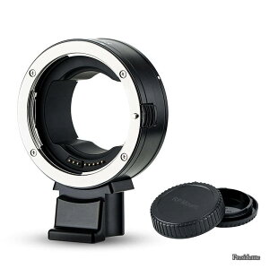 �y���������zEF-EOSR �����Y�}�E���g�A�_�v�^�[ Canon EF/EF-S - RF �}�E���g �]�� Canon EOS R6 V R6 Mark III R1 R5 Mark II R100 R8 R50 R6II R7 R10 R3 R6 R5 R5C R RP Ra �J�����p �I�[�g�t�H�[�J�X �����i�� �A���J�f�U