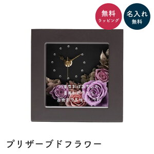  bZ[W󖳗 vU[uht[ v NbN Mtg v[g j uv Ԏv vU vU[uht[ v O ꖳ a ސEj 