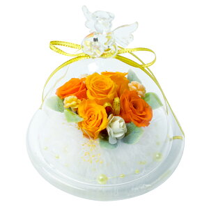  KXh[ vU[uht[ GWFKXh[ a CeA  t[ Mtg KXh[ җ җj ޏ e Mtg UE av[g FB 