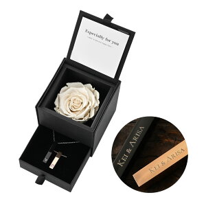 yAlbNX _Ch[Y MtgZbg AM[ Ή XeX ςȂ yAANZT[ LO     LO 1N 3N 5N  