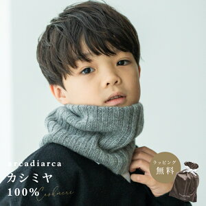 JV~100% lbNEH[}[ }t[ LbY ~ qǂ q lCr[ O[ ubN JV~A JV~  h  w j̎q ̎q Mtg 蕨 v[g arcadiarca A