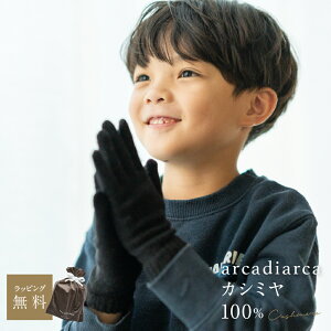 JV~ 100  LbY t[TCY JV~100% JV~A g ĂԂ h qp n j̎q ̎q AJfBAJ arcadiarca Mtg v[g UE NX}X Ε