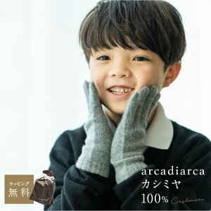 JV~ 100  LbY t[TCY JV~100% JV~A g ĂԂ h qp n j̎q ̎q AJfBAJ arcadiarca Mtg v[g UE NX}X Ε