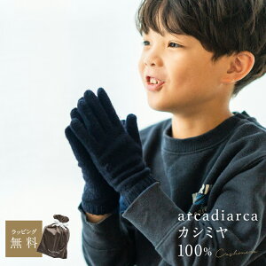 JV~ 100  LbY t[TCY JV~100% JV~A g ĂԂ h qp n j̎q ̎q AJfBAJ arcadiarca Mtg v[g UE NX}X Ε