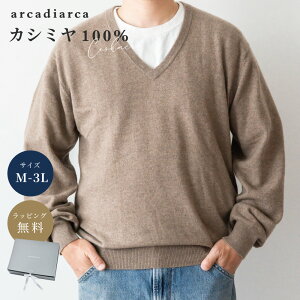 JV~ 100 Z[^[ Y VlbN M L LL 3L v[g YZ[^[ jbg gbvX JV~100% JV~A j ގ v w rWlX Mtg H~  AJfBAJ arcadiar