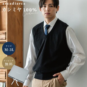 JV~ 100 xXg Y VlbN M L LL3L v[g jbg JV~jbg gbvX JV~100% JV~A j ގ v w rWlX Mtg H~  AJfBAJ arcadiarca 