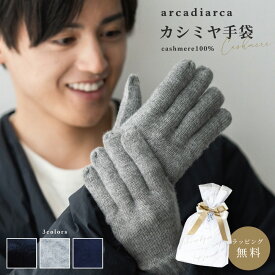 カシミヤ 100％ 手袋 メンズ プレゼント グローブ カシミヤ100% カシミア 男性 彼氏 夫 紳士 学生 ギフト バレンタイン ビジネス 暖かい てぶくろ 防寒グッズ 寒さ対策 アルカディアルカ arcadiarca ギフト