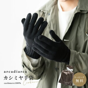 JV~ 100  Y v[g O[u JV~100% JV~A j ގ v am w Mtg rWlX g ĂԂ hObY ΍ AJfBAJ arcadiarca Mtg U