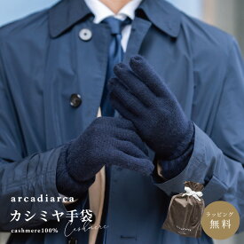 【50%オフクーポン有】カシミヤ 100％ 手袋 メンズ プレゼント グローブ カシミヤ100% カシミア 男性 彼氏 夫 紳士 学生 ギフト バレンタイン ビジネス 暖かい てぶくろ 防寒グッズ 寒さ対策 アルカディアルカ arcadiarca ギフト