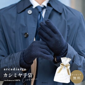 カシミヤ 100％ 手袋 メンズ プレゼント グローブ カシミヤ100% カシミア 男性 彼氏 夫 紳士 学生 ギフト バレンタイン ビジネス 暖かい てぶくろ 防寒グッズ 寒さ対策 アルカディアルカ arcadiarca ギフト