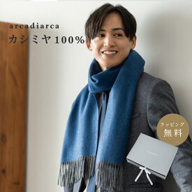 【カシミア20%クーポン配布中】カシミヤ マフラー メンズ カシミア100% 無地 チェック カシミア 紳士 カシミヤマフラー ギフト 誕生日 プレゼント ギフト 高級 バレンタイン プレゼント 彼氏 夫 旦那 アルカディアルカ arcadiarca ギフト