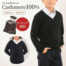 【5/25は店内全商品ポイント5倍】 カシミヤ 100％ セーター 子供 Vネック 100～160cm プレゼント キッズ カシミヤ100% カシミア ニット スクールニット トップス 子供服 子ども服 男の子 女の子 秋冬 防寒 寒さ対策 アルカディアルカ arcadiarca