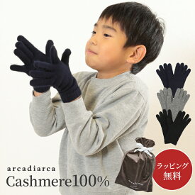 カシミヤ 100％ 手袋 キッズ フリーサイズ カシミヤ100% カシミア 暖かい てぶくろ 防寒 子供用手袋 無地 男の子 女の子 アルカディアルカ arcadiarca ギフト プレゼント