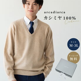 カシミヤ 100％ セーター メンズ Vネック M～3L プレゼント メンズセーター ニット トップス カシミヤ100% カシミア 男性 彼氏 夫 学生 ビジネス ギフト 秋冬 送料無料 アルカディアルカ arcadiarca ギフト