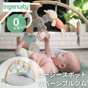 ingenuity CWFjCeB R[W[X|bg o[VuW 12126 v[g  ̎q j̎q vCW Aj} ʂ  xr[W Ԃ W vC}bg 