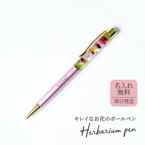  {[y n[oE n[oE{[y 1mm   NAP[Xt i Mtg Ԃ  v[g ItBX O a ꂳ ` c AEj LO