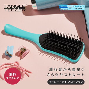 �^���O���e�B�[�U�[ TANGLE TEEZER�C�[�W�[�h���C �u���[�u���V ���t�� �w�A�P�A ���� ������� ���K�i ���@�̃u���V ���� �g�їp �������� ���� ���F�B �f�[�g �������� �U���E �a�����v���[��