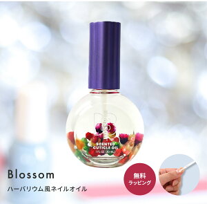 ubT Blossom lCIC flower lCPA t[ Mtg bsO v[g L[eBNIC UE RX av[g FB NX}X Ε
