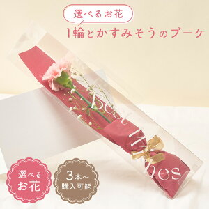 y3{w\z1ւƂ݂̃u[P Iׂ邨 NAP[Xt o K[x J[l[V   ԑ ~ju[P v[g t[Mtg     